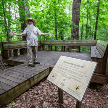 Nature’s call: Guilford’s Underground Railroad holds a history of heartache, hope